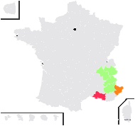 Selinum pleurospermum E.H.L.Krause - carte de répartition