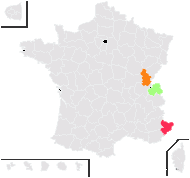 Azalea hirsuta (L.) Kuntze - carte de répartition