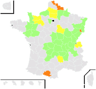 Vaccinium palustre Salisb. - carte de répartition