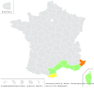 Daucus pumilus (L.) Hoffmanns. & Link - carte de répartition