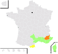 Chrozophora tinctoria (L.) A.Juss. - carte de répartition