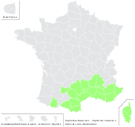 Euphorbia characias L. - carte de répartition