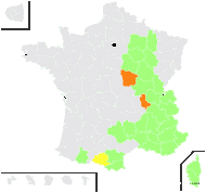 Ptychotis heterophylla W.D.J.Koch - carte de répartition