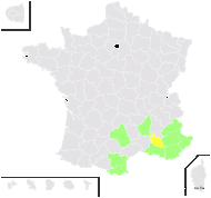 Euphorbia flavicoma subsp. mariolensis (Rouy) O.Bolòs & Vigo - carte de répartition