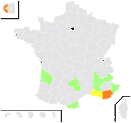 Ridolfia segetum (Guss.) Moris - carte de répartition