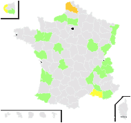 Euphorbia humifusa Willd. - carte de répartition