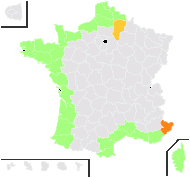 Esula paralias (L.) Haw. - carte de répartition