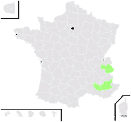 Euphorbia seguieriana subsp. loiseleurii (Rouy) P.Fourn. - carte de répartition