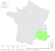 Euphorbia taurinensis All. - carte de répartition