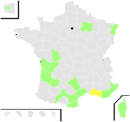 Ricinus communis L. - carte de répartition