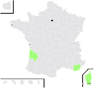 Mimosa floribunda Vent. - carte de répartition