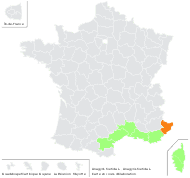 Anagyris foetida L. - carte de répartition