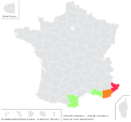 Anthyllis cytisoides L. - carte de répartition