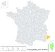 Anthyllis hermanniae L. - carte de répartition