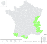 Anthyllis vulneraria subsp. alpestris (Kit.) Asch. & Graebn. - carte de répartition
