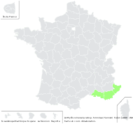 Anthyllis vulneraria subsp. forondae (Sennen) Cullen - carte de répartition