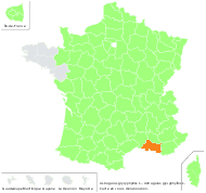 Astragalus glycyphyllos L. - carte de répartition
