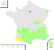 Dorychnium rotundifolium Moench - carte de répartition