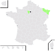 Robinia caragana L. - carte de répartition