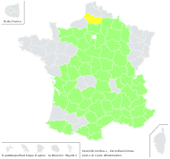 Coronilla minima L. - carte de répartition