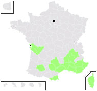 Coronilla pallida Salisb. - carte de répartition