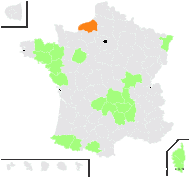 Cytisus lusitanicus Willk. - carte de répartition