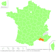 Cytisus scoparius (L.) Link - carte de répartition
