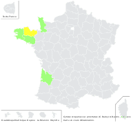 Cytisus scoparius subsp. maritimus (Rouy) Heywood - carte de répartition