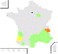 Cytisus lobelii Tausch - carte de répartition