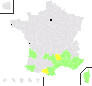 Ortholotus rectus (L.) Fourr. - carte de répartition