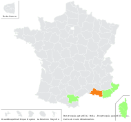 Miediega procumbens Bubani - carte de répartition