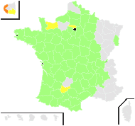 Genista minor Lam. - carte de répartition