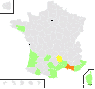 Genista monspessulana (L.) O.Bolòs & Vigo - carte de répartition