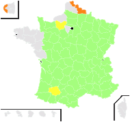 Chamaesparton pilosum (L.) Fourr. - carte de répartition