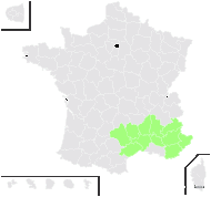 Genista pulchella subsp. villarsiana (Jord.) F.Conti - carte de répartition