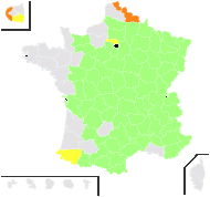 Chamaespartium sagittale (L.) P.E.Gibbs - carte de répartition