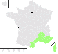 Hippocrepis flexuosa Host - carte de répartition