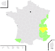Laburnum alpinum var. pilosum (Wettst.) Koehne - carte de répartition
