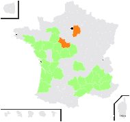 Orobus hispanicus (E.Rev.) Lacaita - carte de répartition