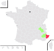 Papaver alpinum L. - carte de répartition