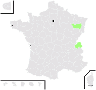 Pinus ×rotundata Link - carte de répartition