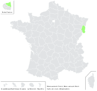 Ribes aureum Pursh - carte de répartition