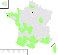 Acanthus spinosissimus Host - carte de répartition