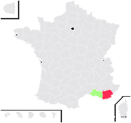 Anthemis secundiramea Biv. - carte de répartition