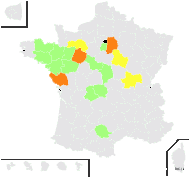 Aira minuta sensu Loisel. - carte de répartition