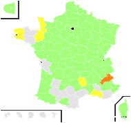 Apera purpurea (Gaudin) P.Beauv. - carte de répartition