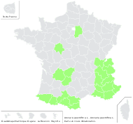 Arenaria grandiflora L. - carte de répartition