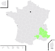 Artemisia chamaemelifolia Vill. - carte de répartition