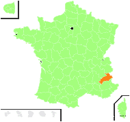 Scolopendrium phyllitis Roth - carte de répartition