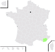 Biserrula epiglottis (L.) Coulot, Rabaute & J.M.Tison - carte de répartition